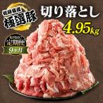 佐藤畜産の極選豚 豚肉の切り落とし 4.95kg