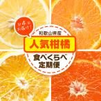 柑橘食べくらべ定期便 全4回 計20kg