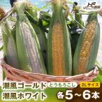 食べ比べセット 1セット