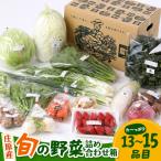 庄原産 旬の野菜 詰め合わせ箱 13~15品目