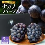 ナガノパープル 房 粒パックセット