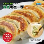 餃子 ねぎギョーザ 九条ねぎ 豚肉