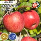 りんご サンふじ 特選 約3kg