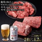 龍馬1865+WAGYU DIAMOND