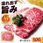博多和牛 サーロインステーキ 500g