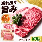 博多和牛サーロインステーキ 800g