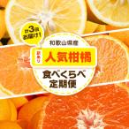 訳あり 柑橘食べくらべ定期便 全3回 計15kg