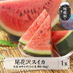 尾花沢スイカ Mサイズ 5~6kg ×1玉