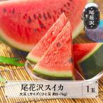尾花沢スイカ Lサイズ 6~7kg ×1玉