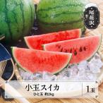 尾花沢産 小玉スイカ 約2kg×1玉
