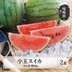 尾花沢産 小玉スイカ 約2kg×2玉