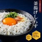 しらす 1.5kg