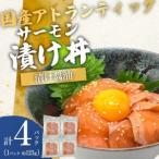 fu.... налог морепродукты фарфоровая пиала salmon .. фарфоровая пиала .. соевый соус 4P Shizuoka префектура Ояма блок 