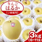 りんご はるか 約3kg