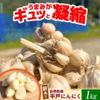 訳あり 平戸にんにく 約1kg