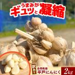 平戸にんにく 約2kg