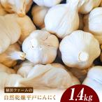 植田ファームの自然乾燥平戸にんにく約1.4kg