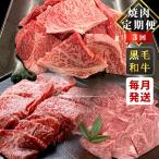 焼き肉づくし★ 黒毛和牛 焼肉定期便 切り落とし