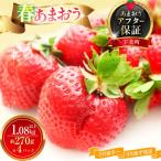 いちご あまおう 春あまおう 270g以上