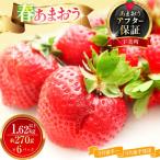 いちご あまおう 春あまおう 270g以上