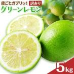 グリーン レモン 訳あり 5kg