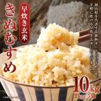 きぬむすめ 早炊き 玄米 10kg