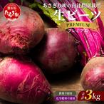 自社農園栽培 プレミアム 生 ビーツ 3kg