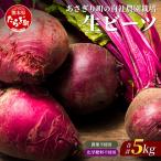 自社農園栽培 生 ビーツ 5kg