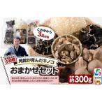 fu.... налог ... .. маленький Kyoto * угол павильон ....[ случайный комплект ]( Sakura .. .,. дерево ...., сырой иудино ухо, сухой иудино ухо, есть перевод .. брать . для сухой ... Akita префектура . север город 