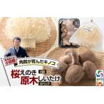 fu.... налог ... .. маленький Kyoto * угол павильон ....[2 вида комплект ]( Sakura .. . примерно 300g×3 пакет,. дерево ....×3 упаковка ).. .2 вид Akita префектура . север город 