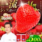 お試しとちあいか サイズ不揃い 約250g×2P