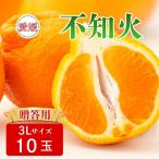 不知火 3Lサイズ 10玉