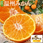 みかん ご 温州みかん 約5kg