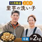 皮むきいらず 煮っ転がしに最適 上庄の里芋の洗い子 2kg