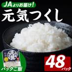 産米 元気つくし 計48パック
