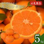 カラマンダリン 5kg