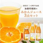 三ヶ日町平山産加藤柑橘園のみかんジュース3点セット