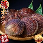 ひらない活貝組 漁師直送 活ホタテ 約2kg