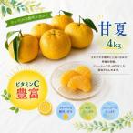 甘夏 4kg