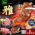 焼肉セット 雅 1kg