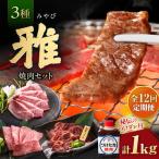 焼肉セット 雅 1kg