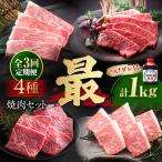 焼肉セット 雅 1kg