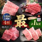 焼肉セット 雅 1kg