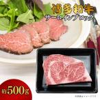 DK-021_博多和牛 サーロインブロック 約500g