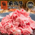 飛騨牛 切り落とし 280g