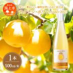 カタナシ ポワレ Amber 2025 スパークリング 1本