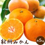 紀州みかん 約5kg