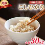 特別栽培米 こしひかり 玄米 30kg