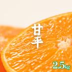 訳あり 甘平 約 2.5kg