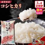 近江米コシヒカリ 5kgx3回定期便 精米